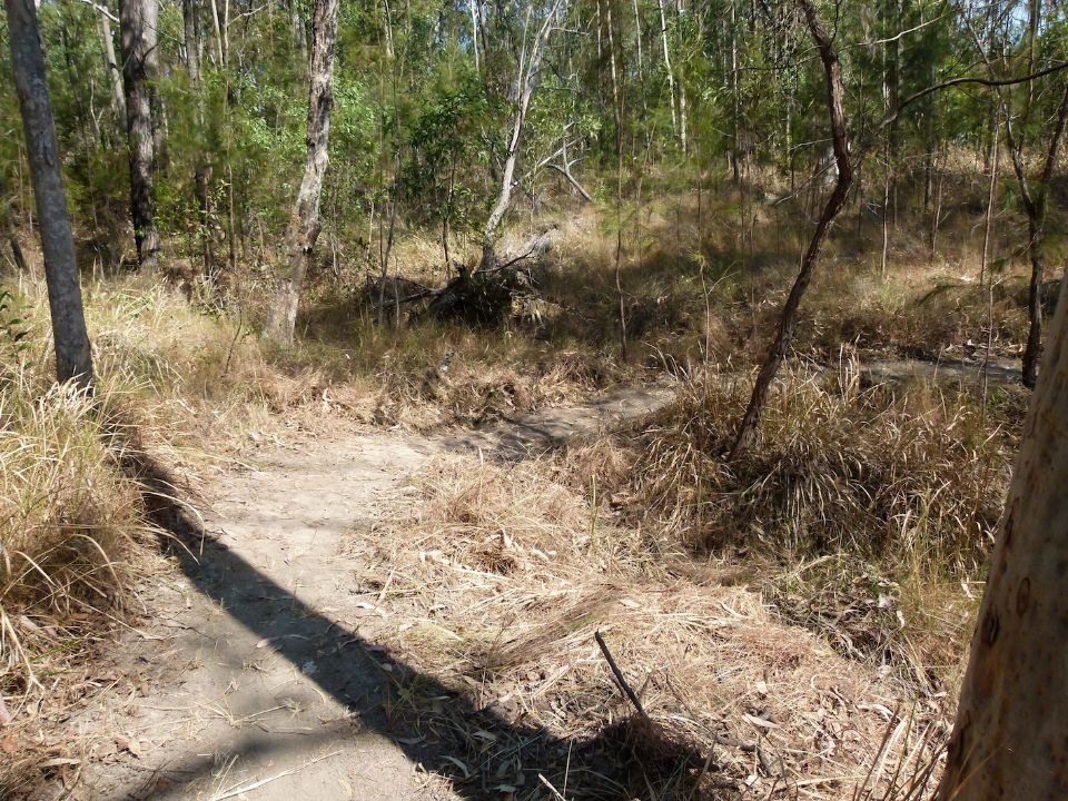 How to cross a creek sustainably and not bust a gut doing it